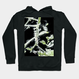 Insect Visions Hoodie
